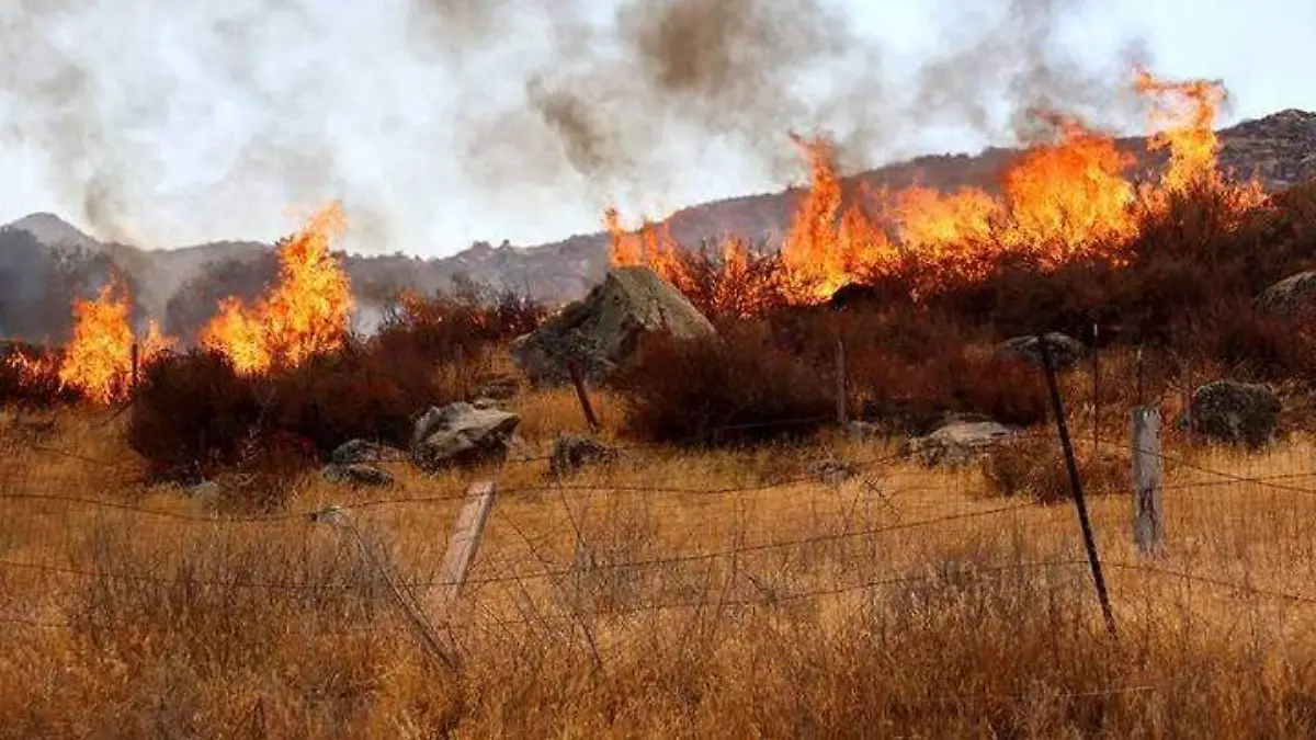 Registran 60 incendios forestales durante 2023 en Durango